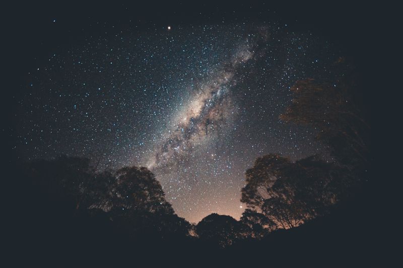 Carte céleste représentant les douze signes astrologiques pour 2026